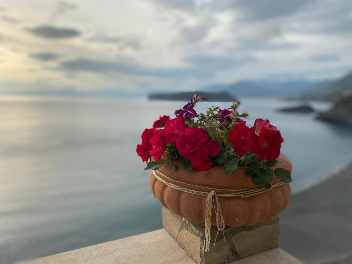 B&B Villa La Petra San Nicola Arcella Ngoại thất bức ảnh