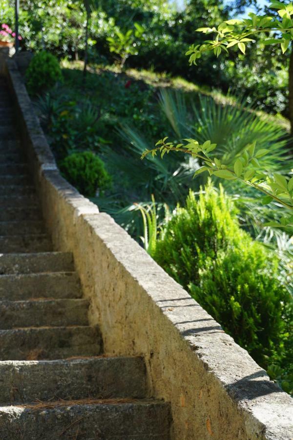 B&B Villa La Petra San Nicola Arcella Ngoại thất bức ảnh