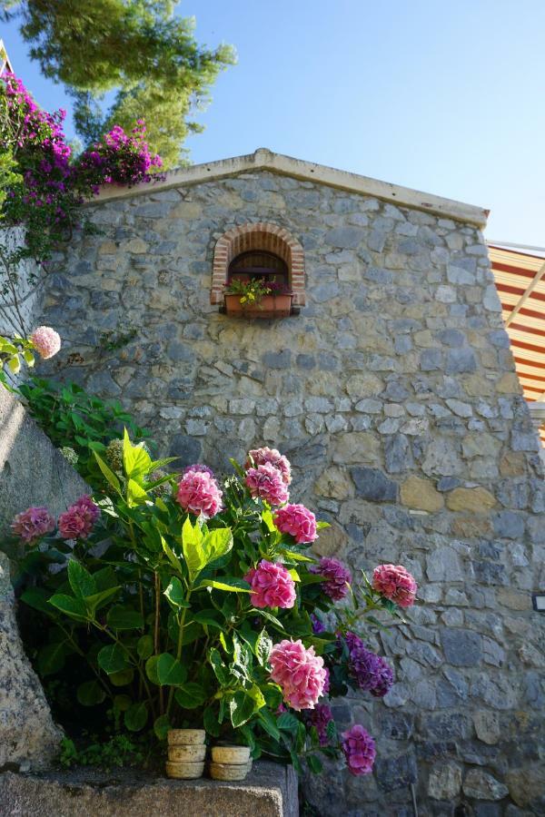 B&B Villa La Petra San Nicola Arcella Ngoại thất bức ảnh