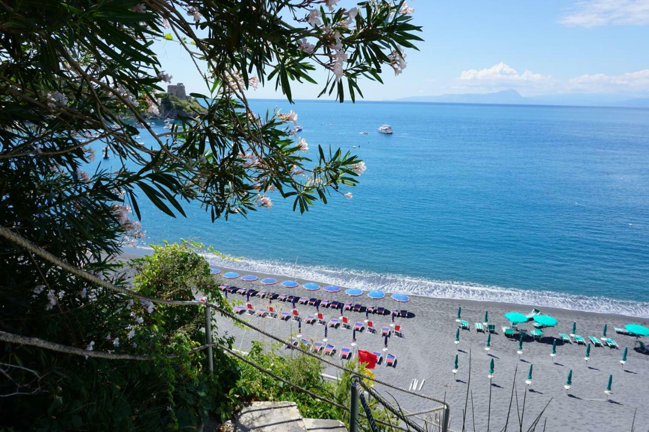 B&B Villa La Petra San Nicola Arcella Ngoại thất bức ảnh